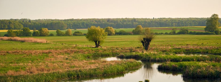 DIE NIDDA VERBINDET