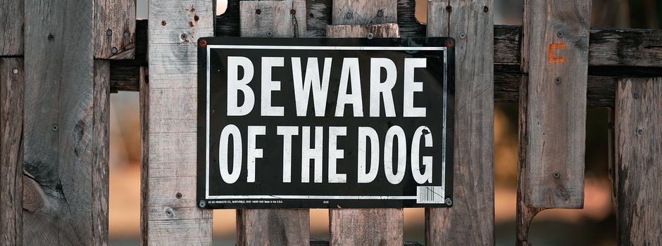 Weiterhin freilaufender Hund – bitte aufmerksam bleiben!