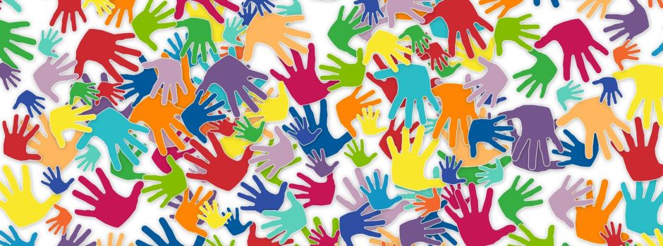 Wir haben FSJ-Plätze frei!!!