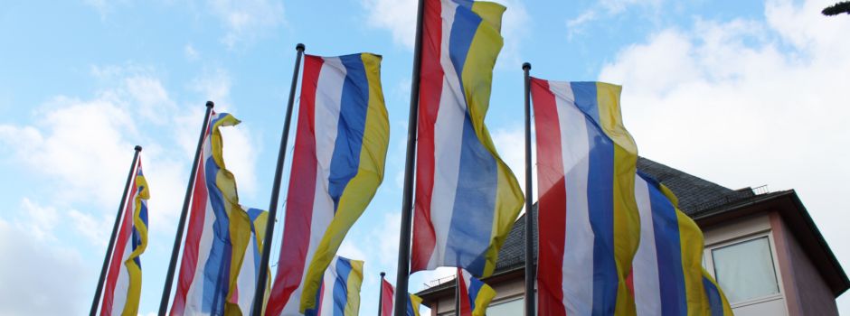 Verdacht: „Reichsbürger“ bei Mainzer Hofsängern?
