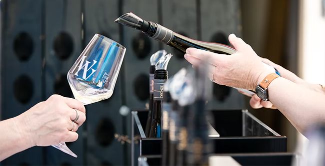 Tag der offenen Flaschen: Weingut Becker lädt zur Jahrgangspräsentation