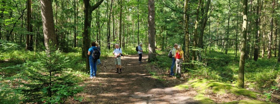 Soltauer bietet Waldbaden an: „Urlaub für Körper, Geist und Seele“