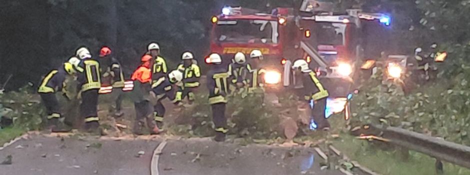 Einsatz Nr. 8-10