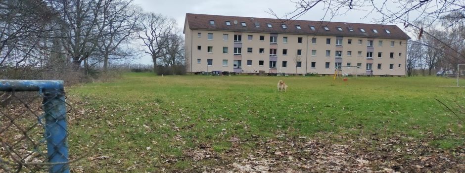 Geplanter Containerbau für Flüchtlinge: Stadt Mainz zieht Pläne zurück