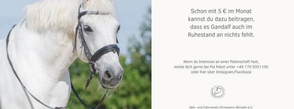 Patenschaft für unseren Gandalf 🐴🤍