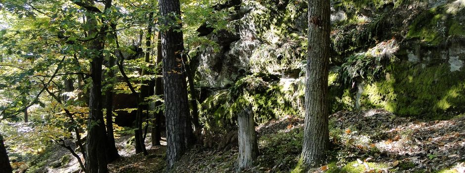 Wanderung in Erlenbrunn