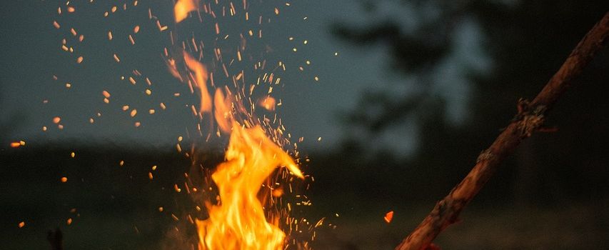 Ab '29 Verbrennen von Gartenabfällen auf dem eigenen Grundstück verboten