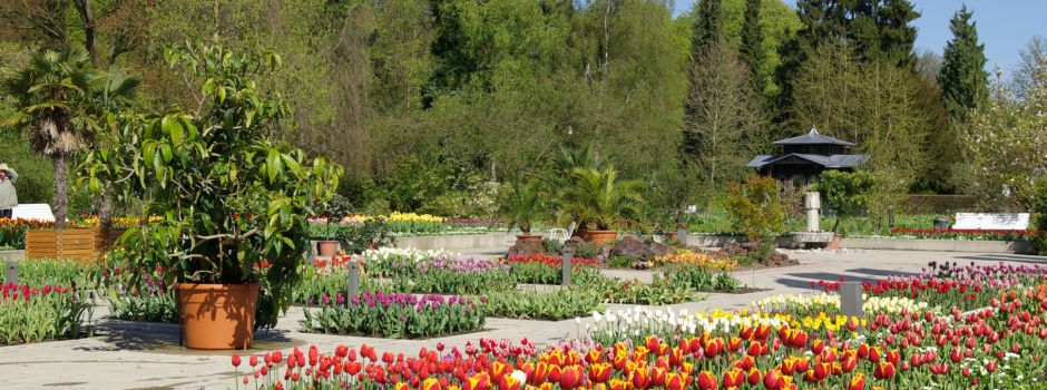 Nach Starkregen und Hochwasser: Schäden im Botanischen Garten und ein Teilerfolg