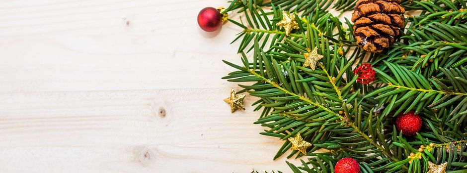 Entsorgung Weihnachtsbäume