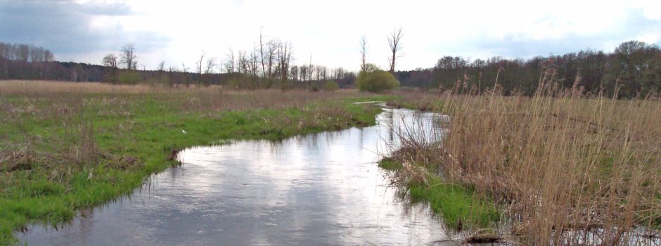 Ökumenisches Pilgern im Frühling