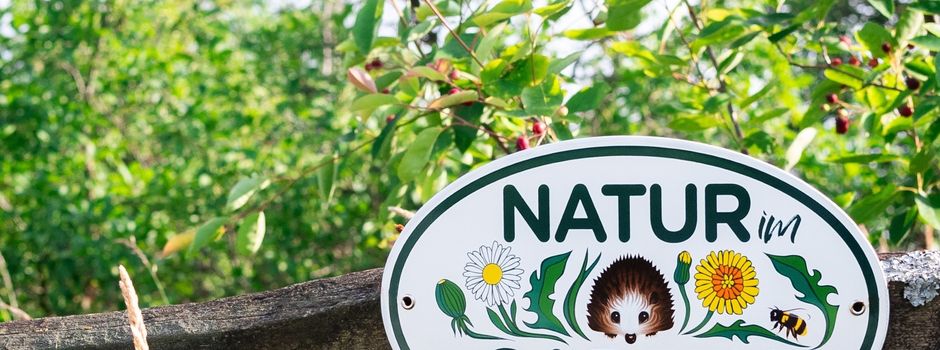 Pressemitteilung - Natur im Garten – Auszeichnung von Naturgärten im Naturpark Hoher Fläming