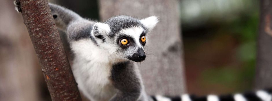Sonderaktion im Wormser Tiergarten