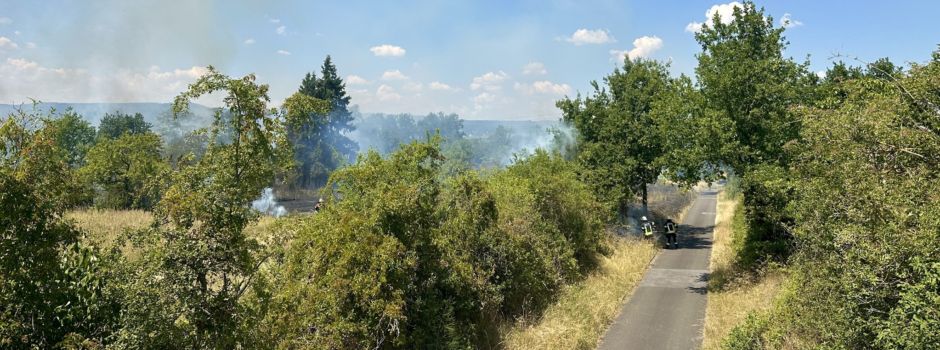 Flächenbrand zwischen Ingelheim und Heidesheim: 6000 Quadratmeter brennen