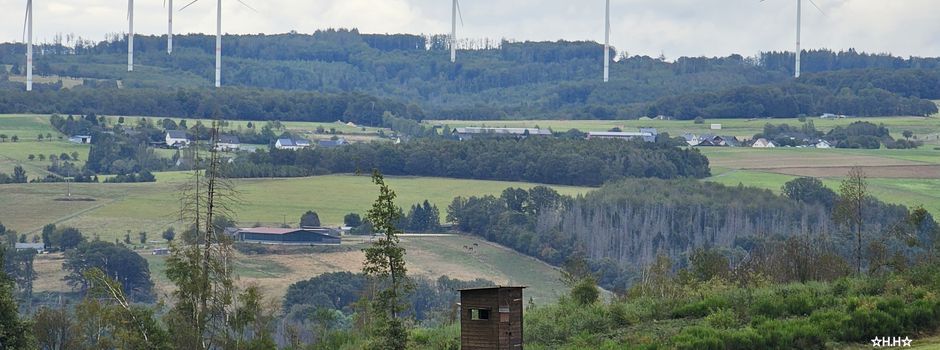 Einladung zum Waldbegang am 01.11.2025