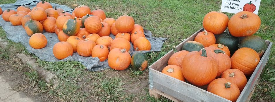 4. Eschelbronner Feierabend am Freitag, 17. Oktober mit dem Thema „Kürbisse“