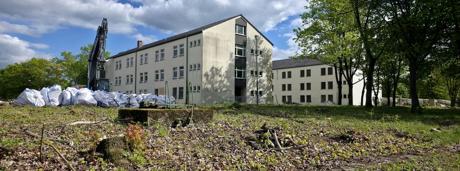 76 Bäume gefällt, 144 weitere bedroht: Mahnwache in Mainzer Oberstadt