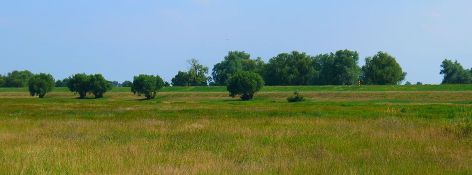 Die Trockenlegung des Oderbruches