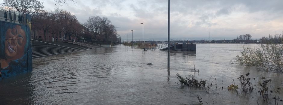 Bildergalerie: Hochwasser in Mainz