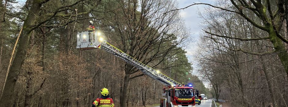 Herabsturzgefahr auf B 198 entschärft