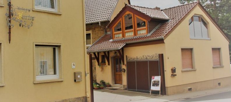 Genuss im überdachten Hof: Weingut Horter lädt zur adventlichen Verkostung