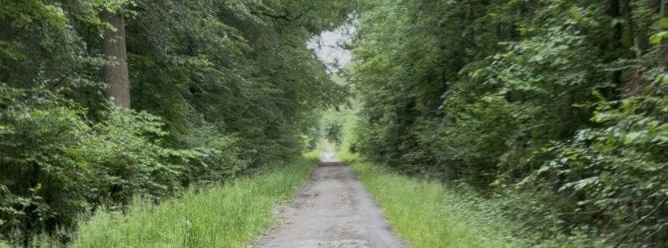 Exhibitionist im Bolandwald – Polizei bittet um Hinweise