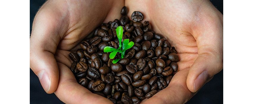 Faires Frühstück in Nierstein macht Vielfalt erlebbar