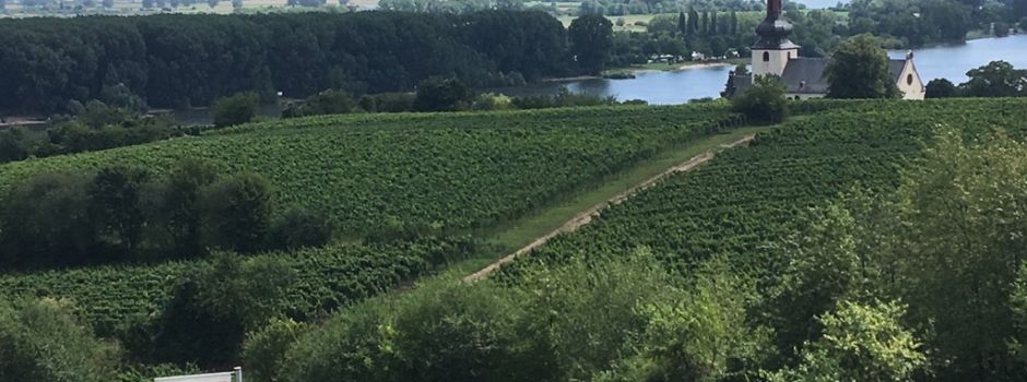 „Tage der offenen Winzerhöfe“ und „Tag des offenen Denkmals“