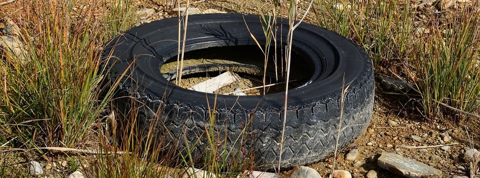 Widerrechtliche Abfallentsorgung im Bereich der Altkleider - und Glascontainer