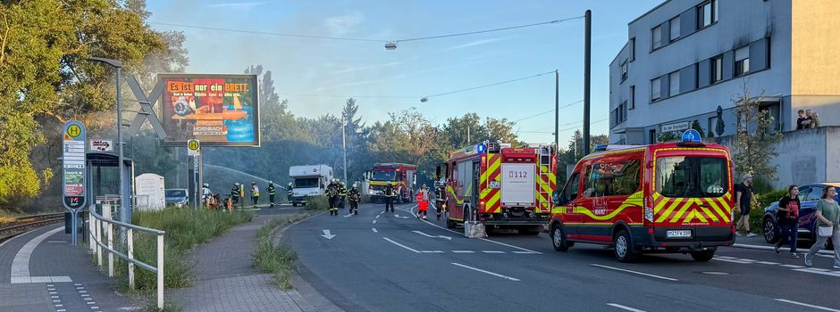 Flächenbrand in Mainz: Straße und Bahnstrecke gesperrt