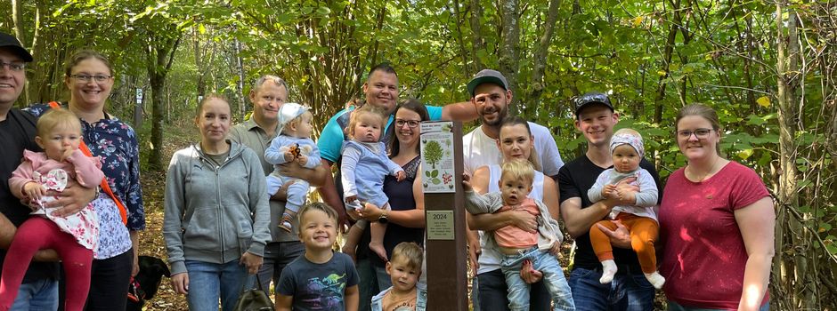 Baum des Jahres Park