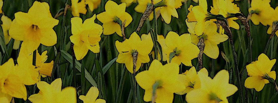 Weetzen blüht: Pflanzaktion für einen farbenfrohen Frühling!