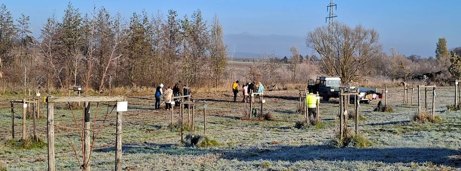 Baumpflanzaktion durchgeführt