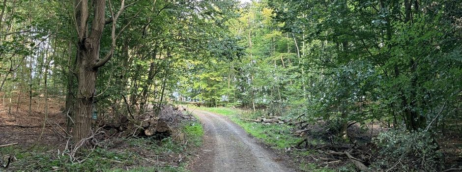 Waldbegehung in Neuberg: Den Gemeindewald verstehen und für die Zukunft stärken