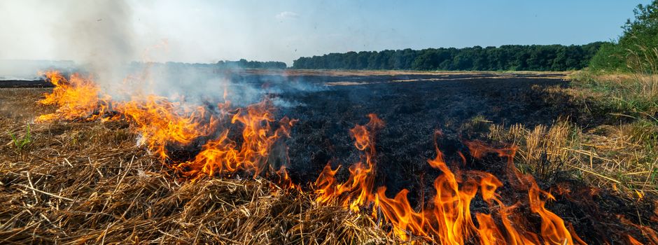 Feuer am Feldrand