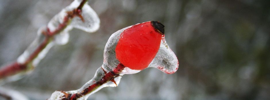Warnung vor gefährlicher Glätte und Eisregen