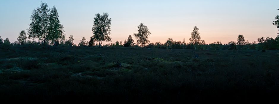 Heidschnuckenweg bei Mondschein