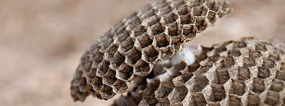 Kostenloser Oster-Workshop im Dynamikum