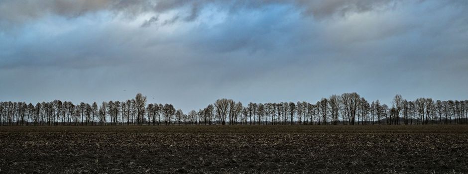 Drittwärmster und einer der nassesten Winter seit 1881