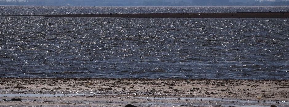 IAEA: Zweite Stromleitung für AKW Saporischschja repariert