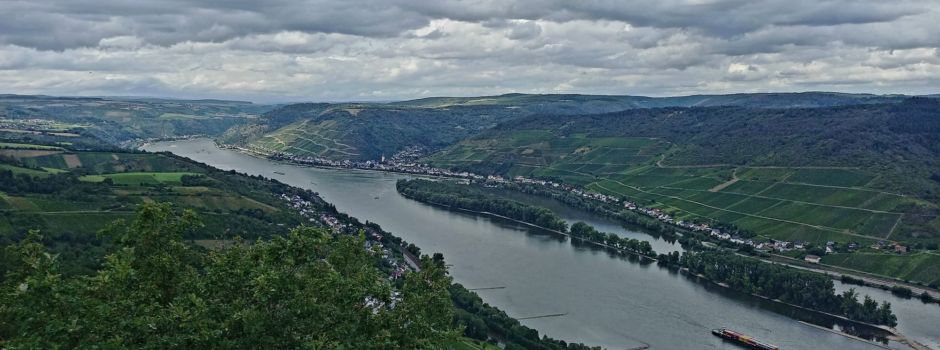 Ausflugstipps für Mainz und Umgebung