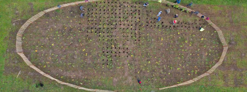 Waldjugend pflanzt Bäume auf Niedernhausener Friedhof