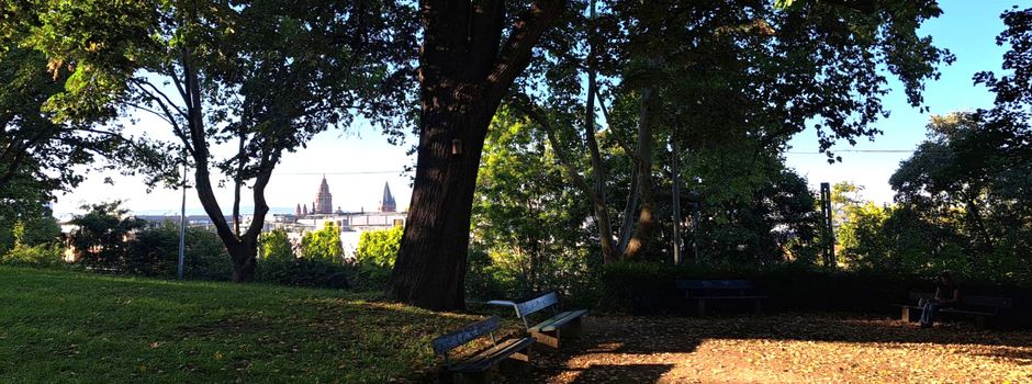 Versteckte grüne Oase mitten in der Stadt: Der Gude-Nacht-Park