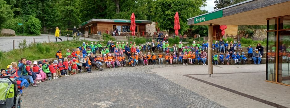 Fröhlicher Ausflug der Kita Naseweis in den Tierpark Sababurg