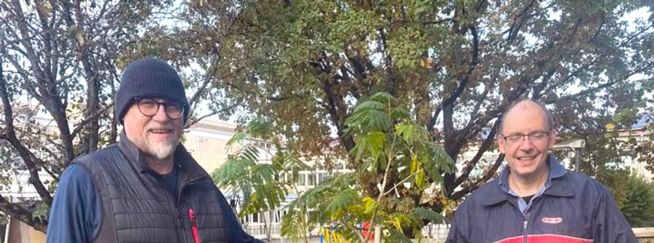 Seidenbaum als Zeichen der Erneuerung an der Martinskirche gepflanzt