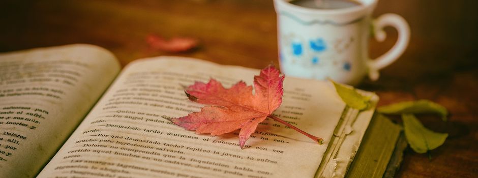 5 Buchtipps für kalte Wintertage