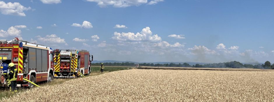 Flächenbrand in Worms-Pfeddersheim: Landwirte helfen Feuerwehr