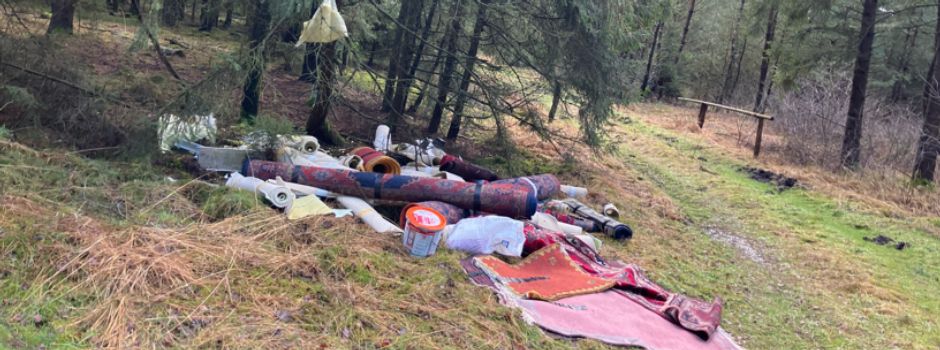 Illegale Müllablagerungen an der B3