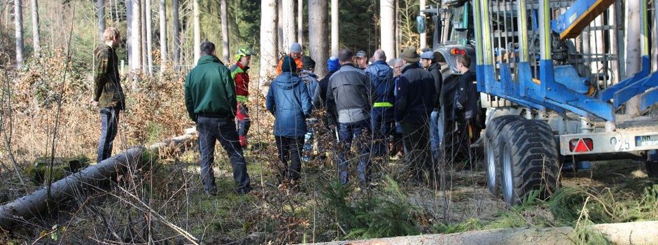 Bildungsprogramm Wald 2027