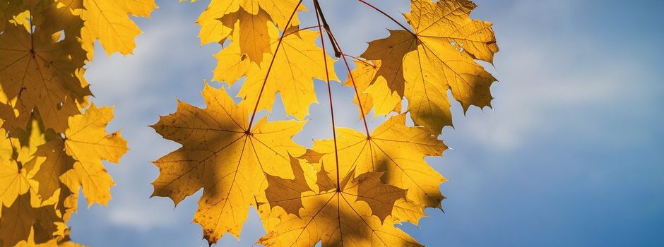 St.-Martin-Laternenumzug 2025