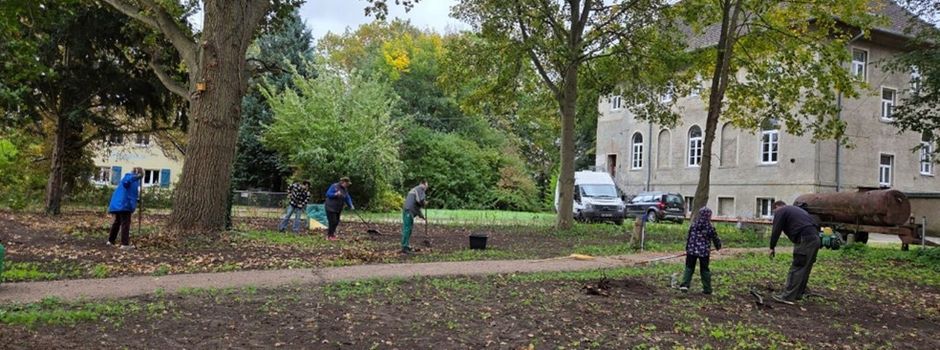 Neugestaltung des Gutsparks in Krienke  